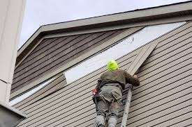 Best Steel Siding Installation  in Jerseyvle, IL